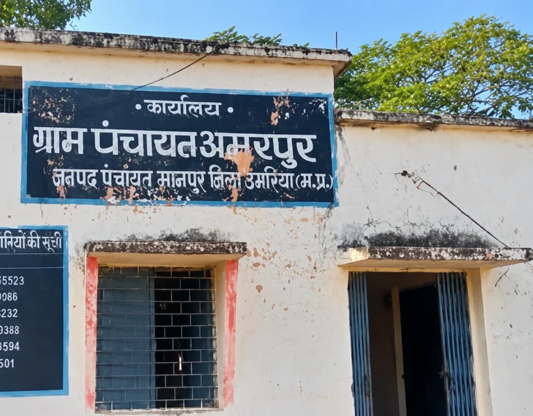 उमरिया: अमरपुर को तहसील बनाने की घोषणा, ग्रामीणों को राजस्व कार्यों में राहत मिलने की उम्मीद